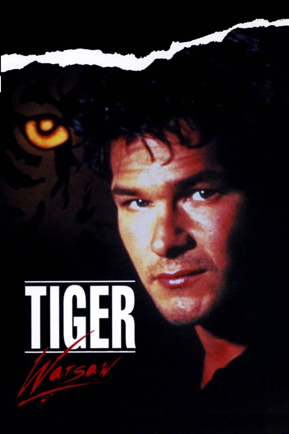 Постер Tiger Warsaw